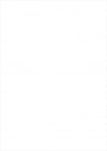 hentai touhou project