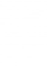 hentai touhou project