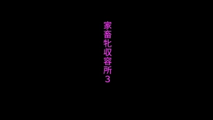 hentai 家畜牝収容所3