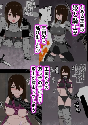 hentai 騎士・姫敗北拘束記録