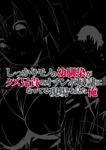 hentai touhou project