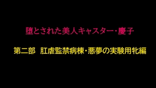 hentai 堕とされた美人キャスター・慶子 第二部 肛虐監禁病棟・悪夢の実験用牝編