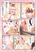 hentai touhou project