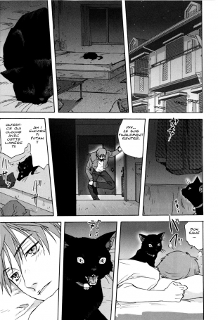 hentai A Cat Repaying Kindness