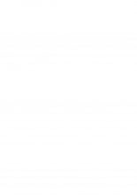 hentai touhou project