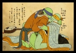 hentai teenage mutant ninja turtles