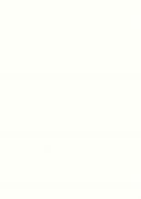 hentai street fighter