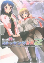 hentai Chotto H na Stocking Jiten 2