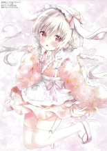 hentai COFFRET ameusagi original illust collection