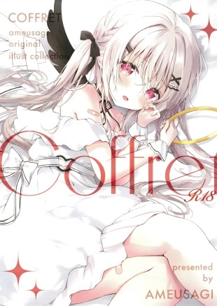 hentai COFFRET ameusagi original illust collection