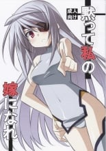 hentai infinite stratos