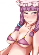 hentai touhou project