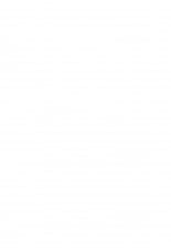 hentai Dinaranger Vol.2 {French]