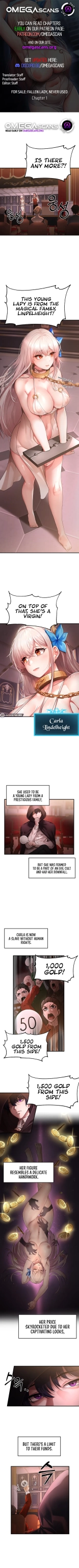 hentai For Sale: Fallen Lady, Never Used