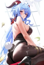 hentai genshin impact