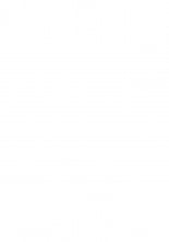 hentai touhou project