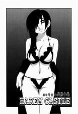 hentai Harem castle Ch.5