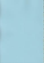 hentai final fantasy