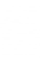 hentai touhou project