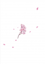 hentai Irui Konintan Gaiden