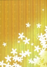 hentai touhou project