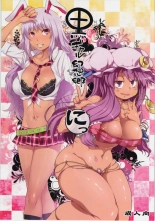 hentai touhou project