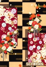 hentai touhou project