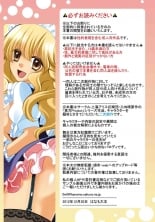 hentai touhou project