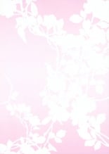 hentai touhou project