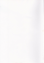 hentai touhou project