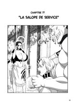 hentai one piece