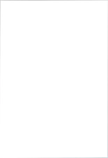 hentai no game no life