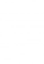 hentai O.Riginal brand 19: LL-1