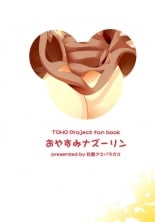 hentai touhou project