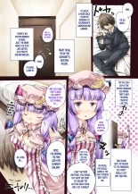 hentai touhou project