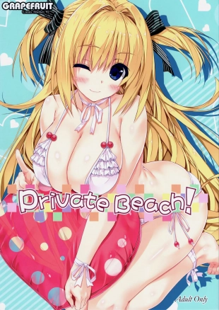 hentai Private Beach