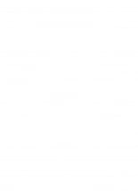 hentai dragon quest v