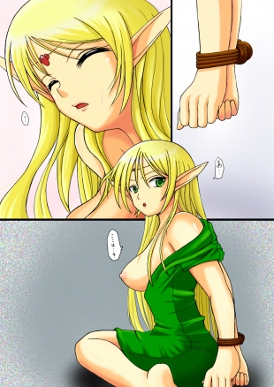 hentai Record of Lodoss War ~Heroine Insult Collection~