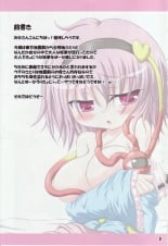 hentai touhou project