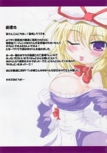 hentai touhou project