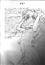 hentai touhou project