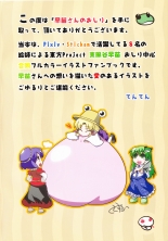 hentai touhou project