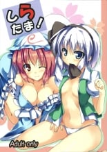 hentai touhou project
