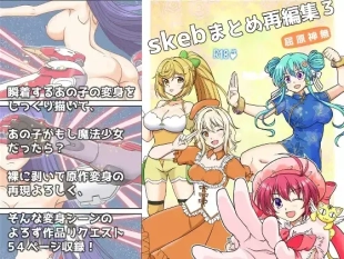 hentai Skeb Matome Saihenshuu 3