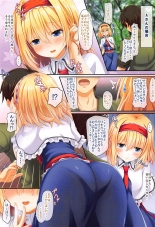 hentai touhou project