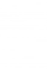 hentai touhou project