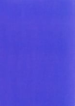 hentai love live sunshine