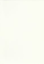 hentai touhou project