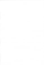 hentai touhou project