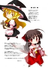hentai touhou project